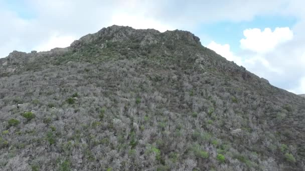 Вид Воздуха Живописные Горы Острове Карибском Море — стоковое видео