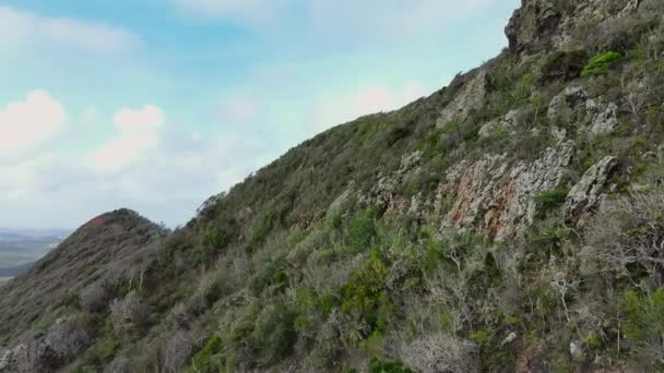 加勒比岛屿上风景秀丽的群山的空中景观 — 图库视频影像
