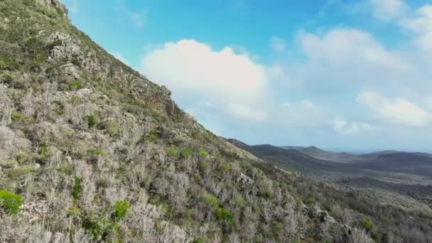 Αεροφωτογραφία Του Γραφικά Βουνά Ένα Νησί Της Καραϊβικής — Αρχείο Βίντεο