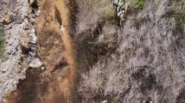 Karayipler 'deki tropik bir adada bir kadın doğada yürüyor.