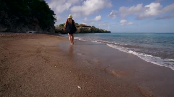 在菜豆海滩上的女人 — 图库视频影像