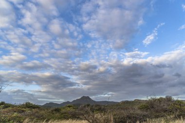 Karayipler 'deki bir adanın kıyı şeridinde manzara