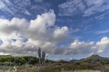Karayipler 'deki bir adanın kıyı şeridinde manzara