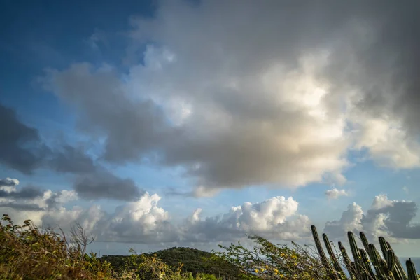 カリブ海の島の海岸での景観 — ストック写真