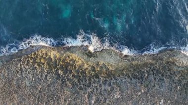 Römorkör sahili - Curacao - Turkuaz su, uçurum, plaj ve güzel mercan resifleriyle Karayip Denizi