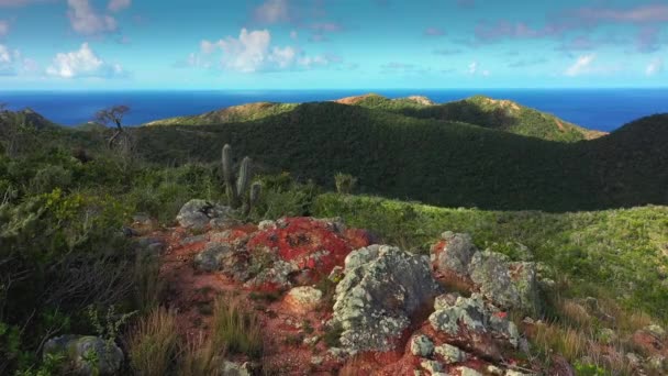 카리브해 산들이 공중에서 바라본 — 비디오