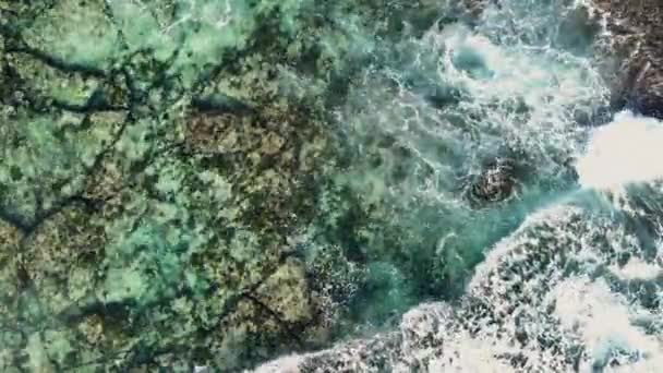 ターコイズウォーター ビーチ 美しいサンゴ礁を備えたカリブ海 — ストック動画