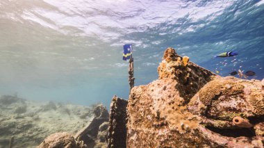 Karayip Denizi 'ndeki mercan resiflerinin sığ sularında Curacao bayrağı, yüzeye ve güneş ışınlarına bakan gemi enkazı.