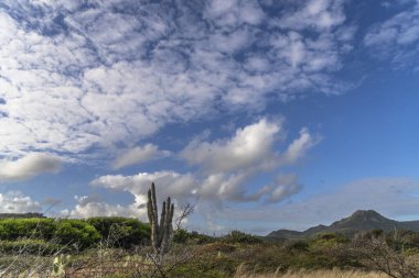 Karayipler 'deki bir adanın kıyı şeridinde manzara
