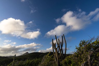 Karayipler 'deki bir adanın kıyı şeridinde manzara