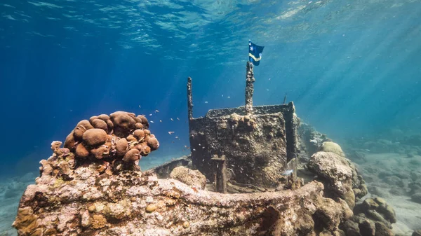 Ship Wreck Tugboat Shallow Water Coral Reef Caribbean Sea Curacao — Stock Photo, Image