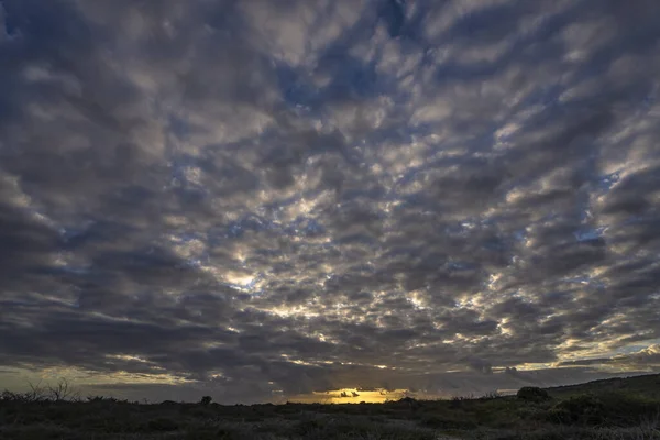 加勒比岛屿日落天空的场景图 — 图库照片