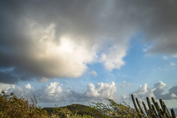 Karayipler Deki Bir Adanın Kıyı Şeridinde Manzara — Stok fotoğraf