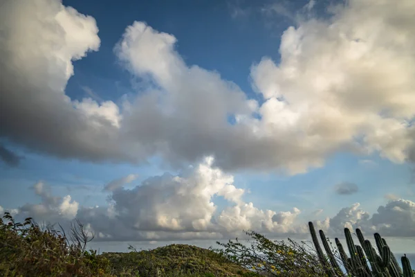 Vista Panorâmica Costa Uma Ilha Caribe — Fotografia de Stock