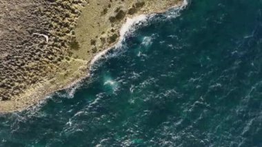 Römorkör sahili - Curacao - Turkuaz su, uçurum, plaj ve güzel mercan resifleriyle Karayip Denizi