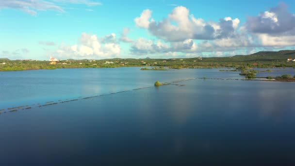 Αεροφωτογραφία Πάνω Από Τοπίο Του Κουρασάο Της Καραϊβικής Τον Ωκεανό — Αρχείο Βίντεο