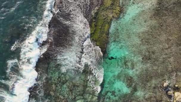 Αεροφωτογραφία Της Παραλίας Tugboat Κουρασάο Καραϊβική Θάλασσα Γαλαζοπράσινα Νερά Γκρεμό — Αρχείο Βίντεο