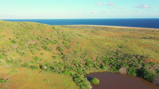 Vista Aérea Sobre Paisaje Curazao Caribe Con Océano Costa Colinas — Vídeos de Stock