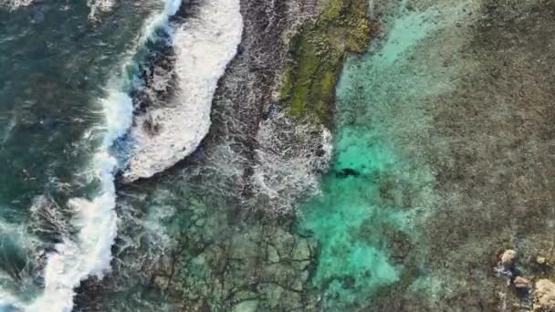 Flygfoto Över Tugboat Beach Curacao Karibiska Havet Med Turkost Vatten — Stockvideo