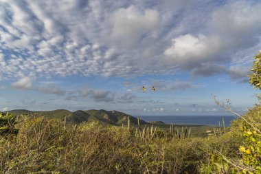 Karayipler 'deki adada bulutlu gökyüzü manzarası