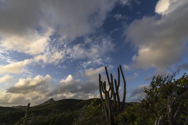 Karayipler 'deki bir adanın kıyı şeridinde manzara