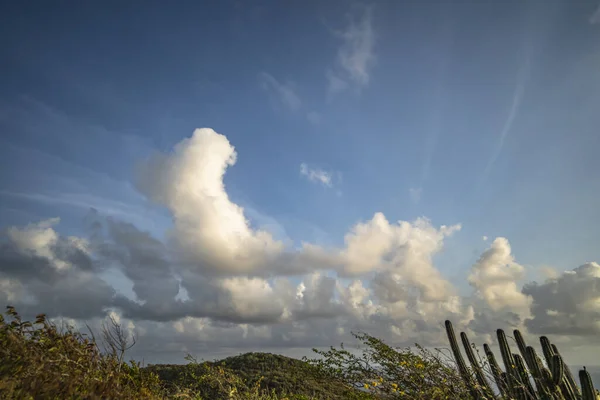 Vista Panorámica Costa Una Isla Caribe — Foto de Stock
