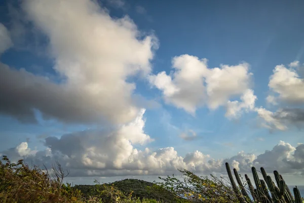 Karayipler Deki Bir Adanın Kıyı Şeridinde Manzara — Stok fotoğraf