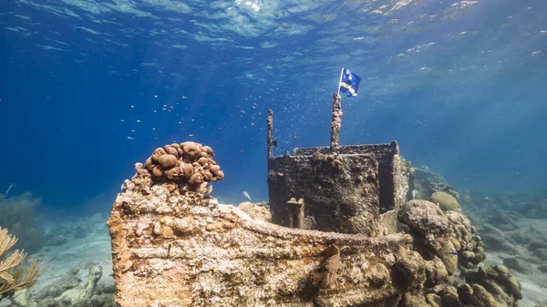 利用库拉索旗在加勒比海珊瑚礁浅水中的沉船 可以看到海面和阳光 — 图库照片