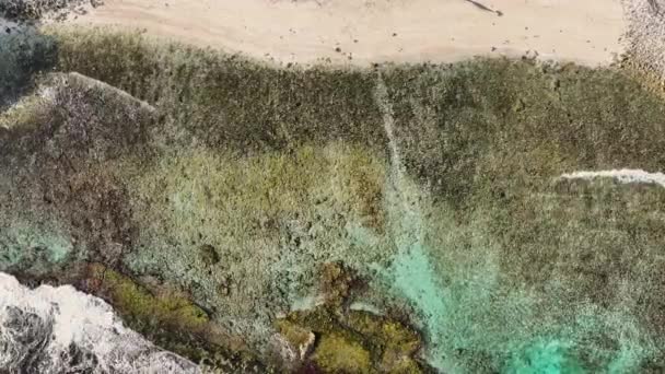 Вид Воздуха Пляж Тагбот Кюрасао Карибское Море Бирюзовой Водой Скалой — стоковое видео