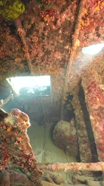 ダイバーと船の難破船キュラソー周辺のカリブ海のサンゴ礁で 黒い砂の難破船 — ストック動画