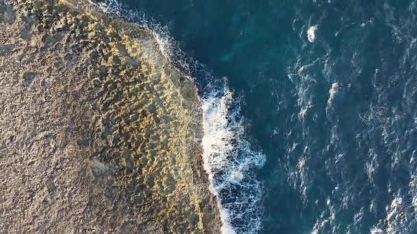 Aerial View Tugboat Beach Curacao Caribbean Sea Turquoise Water Cliff — Stock Video