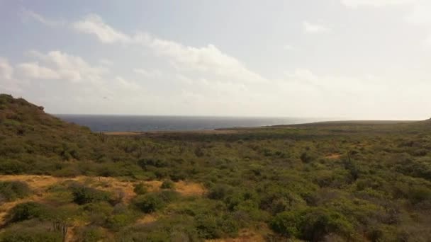 Vista Aérea Una Isla Caribe — Vídeos de Stock