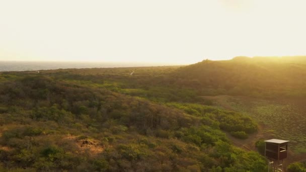 Aerial View Island Caribbean — Stock Video