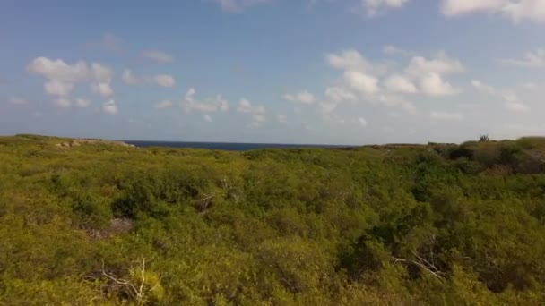 加勒比一个岛屿的空中景观 — 图库视频影像