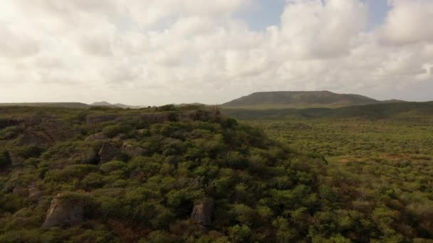 Aerial View Island Caribbean — Stock Video
