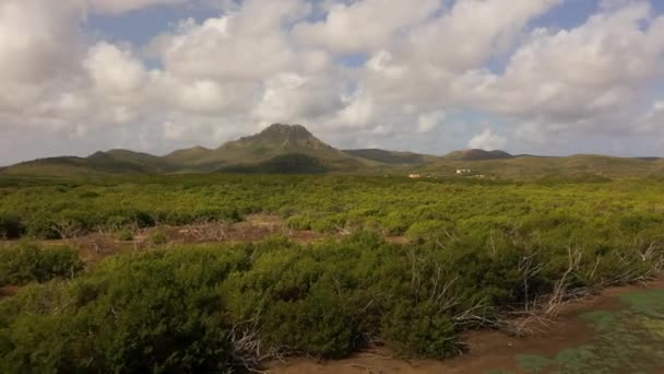 Вид Воздуха Остров Карибском Море — стоковое видео