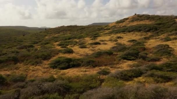 加勒比一个岛屿的空中景观 — 图库视频影像