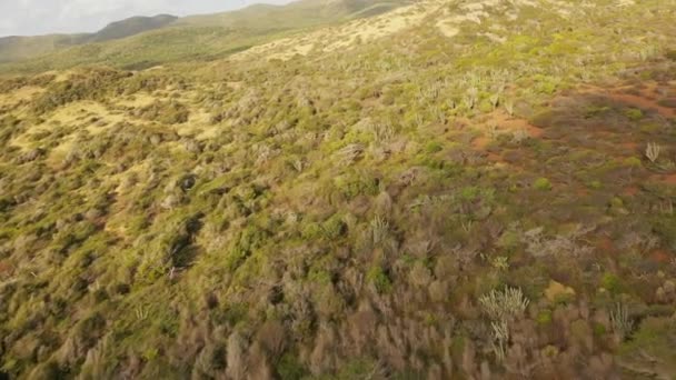 Karayipler Deki Bir Adanın Üzerindeki Hava Manzarası — Stok video