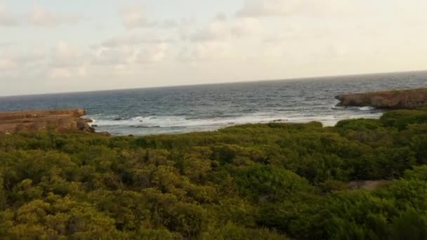 Légi Felvétel Egy Karibi Szigetre — Stock videók
