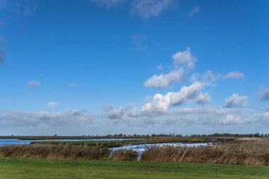 Darss yarımadasındaki manzara, Baltık Denizi, Almanya