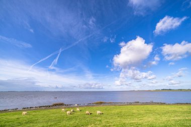 Elbe nehri üzerinde Hamburg, Almanya çevresindeki manzara