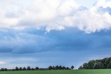 Darss Yarımadası, Almanya 'da Manzara