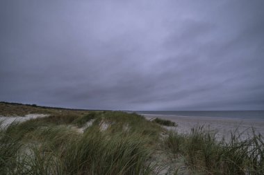 Darss yarımadasındaki kumlu bir sahilde sonbahar manzarası, Baltık Denizi, Almanya