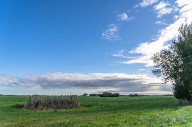Darss Yarımadası, Almanya 'da Manzara