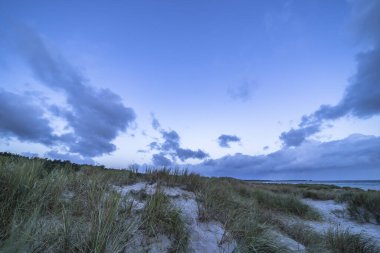 Darss yarımadasındaki manzara, Baltık Denizi, Almanya