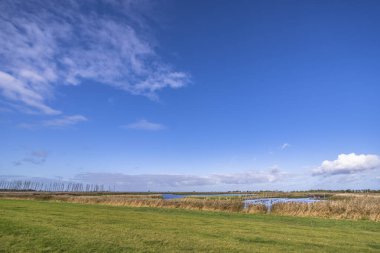 Darss yarımadasındaki manzara, Baltık Denizi, Almanya