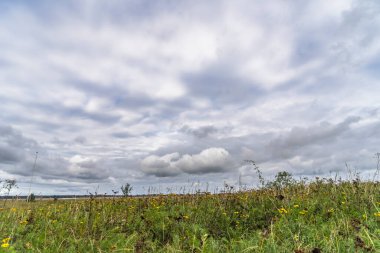 Darss yarımadasındaki manzara, Baltık Denizi, Almanya