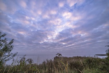 Darss yarımadasındaki manzara, Baltık Denizi, Almanya