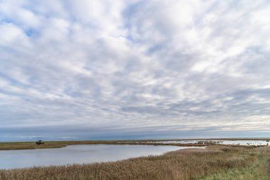 Darss yarımadasındaki manzara, Baltık Denizi, Almanya