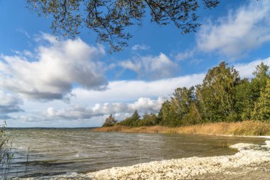 Ağaçlı ve göllü güzel doğa manzarası